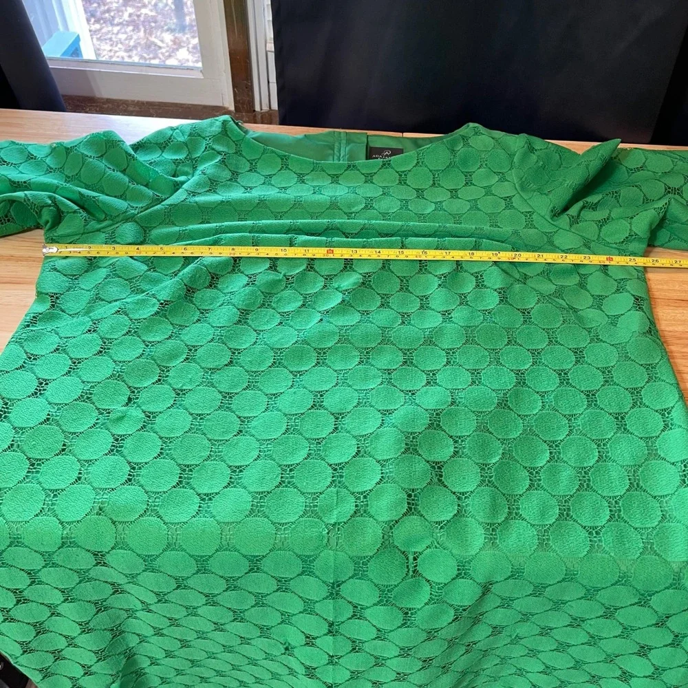 Adrianna Papell Green Circle Lace Shift Dress 22W Plus Size Short Sleeve Zipper - Picture 5 of 7